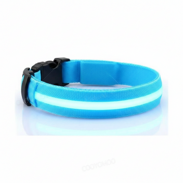 Collar Luminoso LED para Perro con Carga USB
