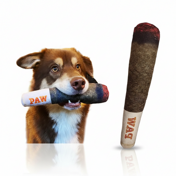 Juguete de Felpa Divertido para Morder para Perro