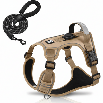 Set Premium de Arnés y Correa para Perro