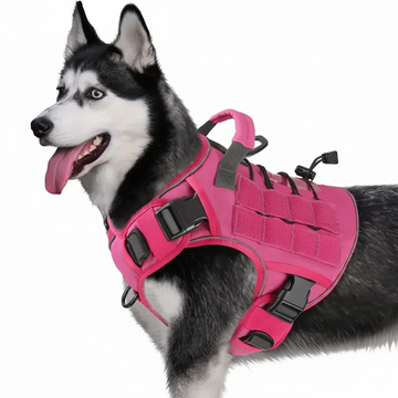 Pack Paseo Perro ANIMALZO