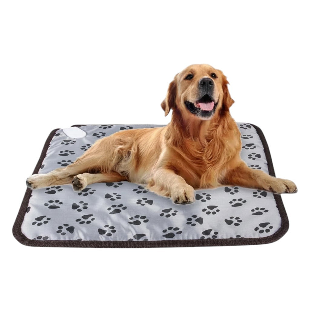 Perro golden retriever descansando sobre una almohadilla térmica impermeable ANIMALZO con estampado de huellas grises