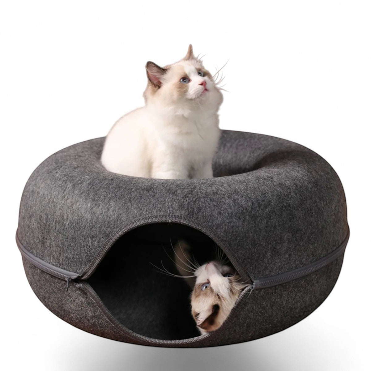 Cama túnel redonda ANIMALZO de fieltro gris para gatos con orificio de ventilación y dos gatitos jugando