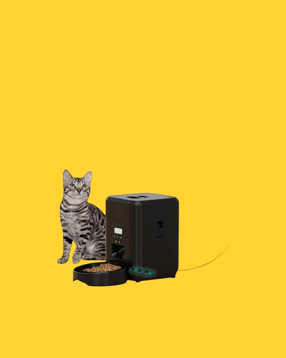 Comedero automático inteligente ANIMALZO negro con pantalla LCD y gato sentado al lado en un interior moderno
