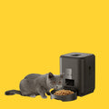 Comedero automático inteligente ANIMALZO negro con pantalla LCD para gatos y perros en un salón moderno