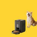 Comedero automático inteligente ANIMALZO negro con pantalla LCD y cierre de seguridad para perros y gatos
