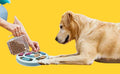 Chien labrador jouant avec un puzzle distributeur de croquettes ANIMALZO sur fond jaune
