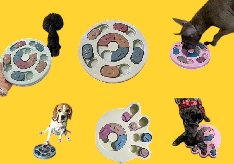 Comedero lento interactivo ANIMALZO con rompecabezas para perros, diseño circular multicolor para estimulación mental.