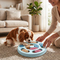 Chien Cavalier King Charles jouant avec un comedero lento interactif ANIMALZO bleu sur un tapis dans un salon