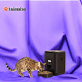 Chat tigré mangeant devant un distributeur automatique de nourriture ANIMALZO noir avec écran LCD et programmation