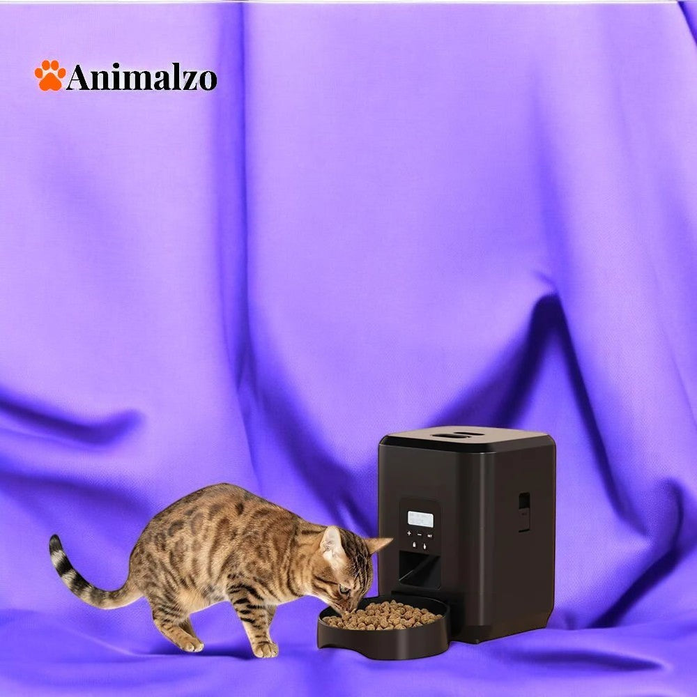 Chat tigré mangeant devant un distributeur automatique de nourriture ANIMALZO noir avec écran LCD et programmation