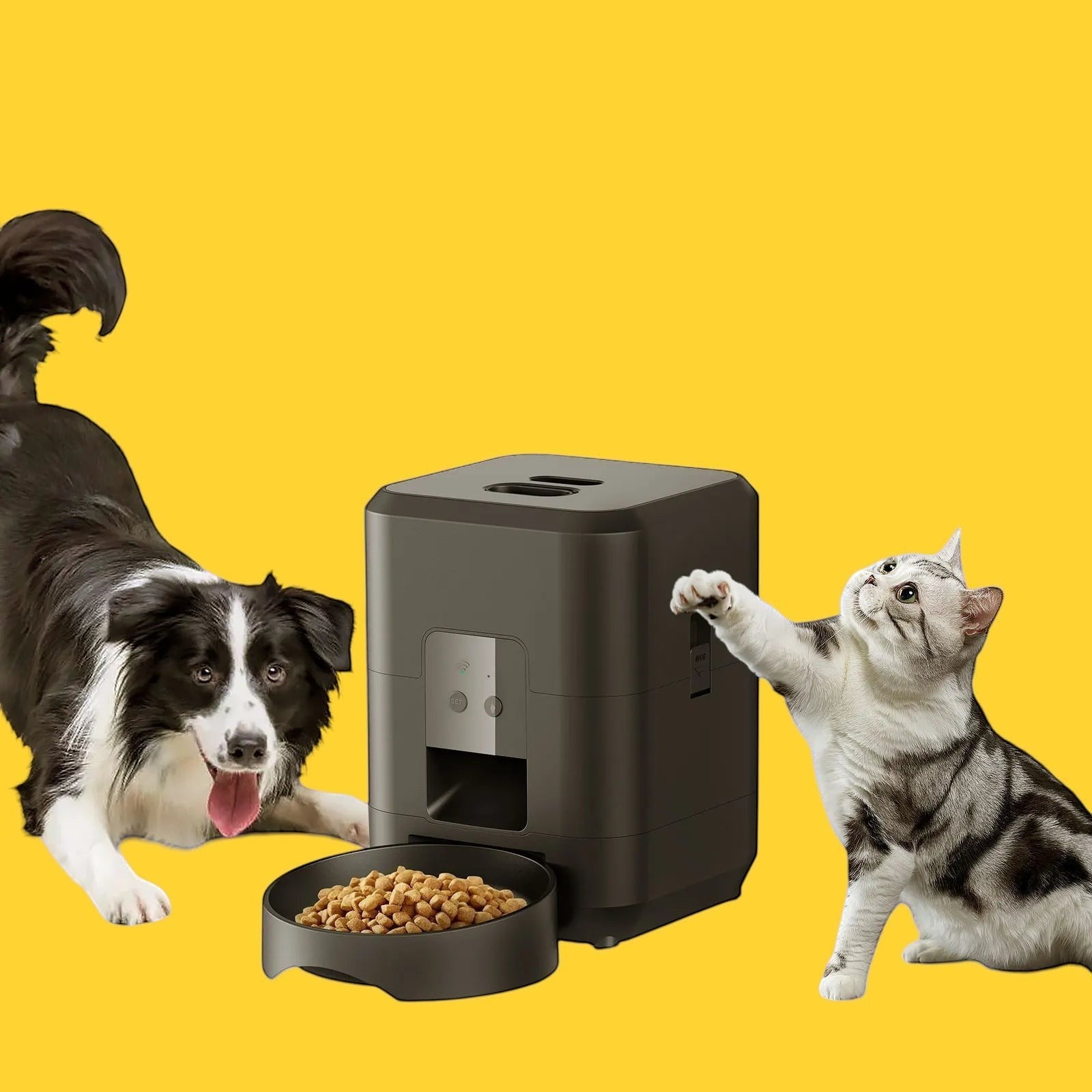 Distributeur automatique de nourriture intelligent ANIMALZO noir avec écran LCD pour chiens et chats