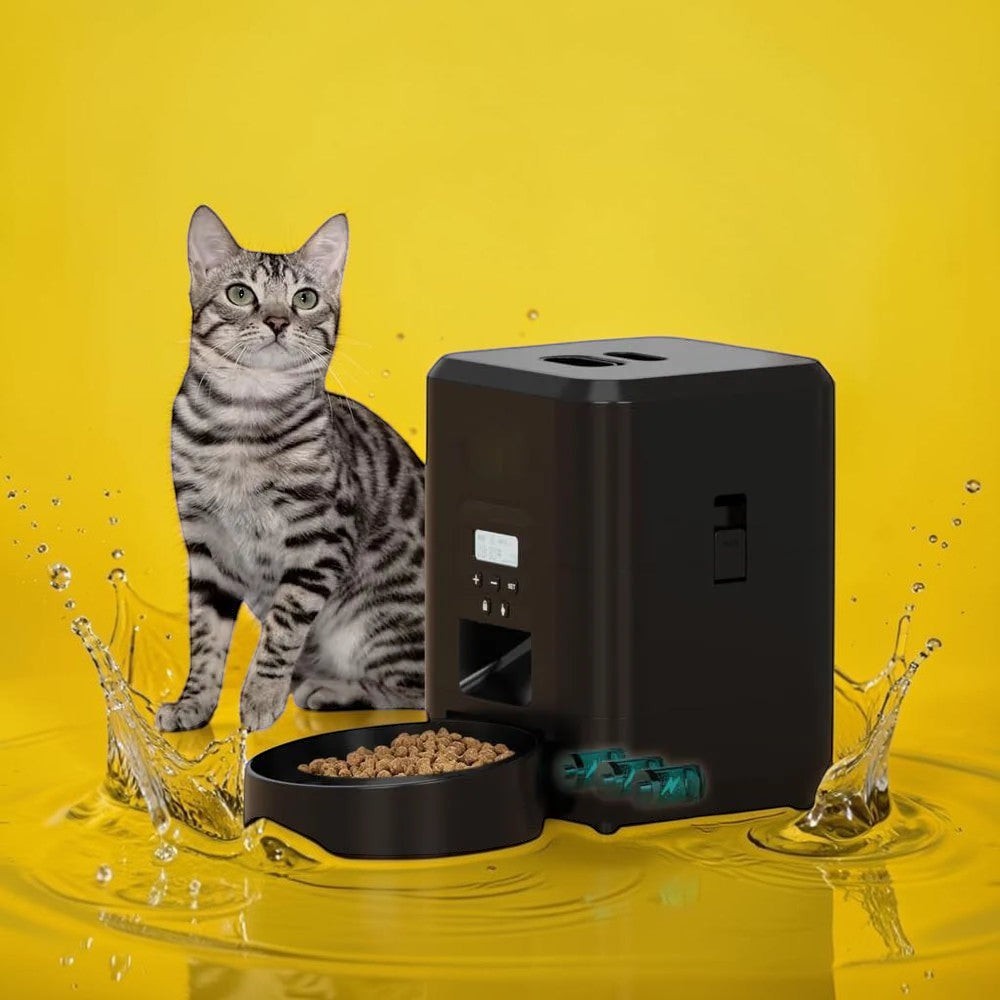 Distributeur automatique de nourriture intelligent ANIMALZO noir avec écran LCD pour chat assis à côté