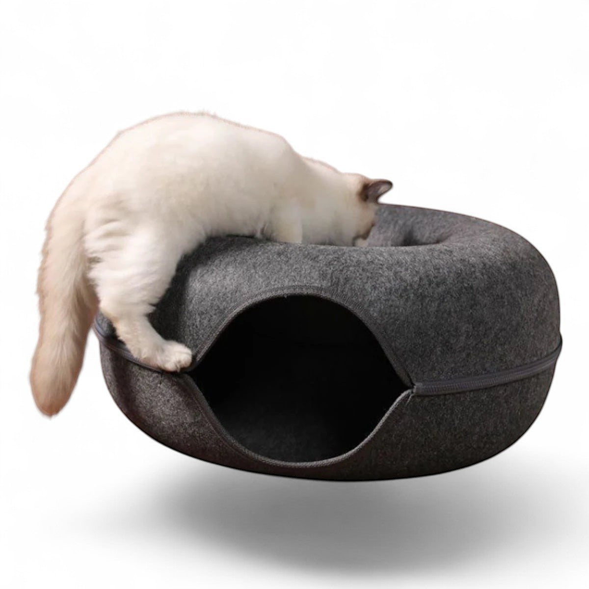 Chat blanc jouant avec un lit tunnel rond ANIMALZO en feutre gris, idéal pour le repos et le jeu des félins.