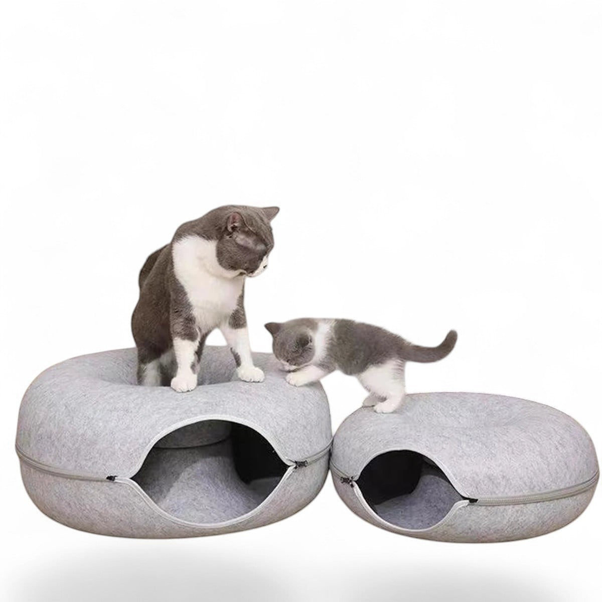Deux chats gris et blancs explorant un lit tunnel rond interactif ANIMALZO en feutre gris pour le jeu et le repos