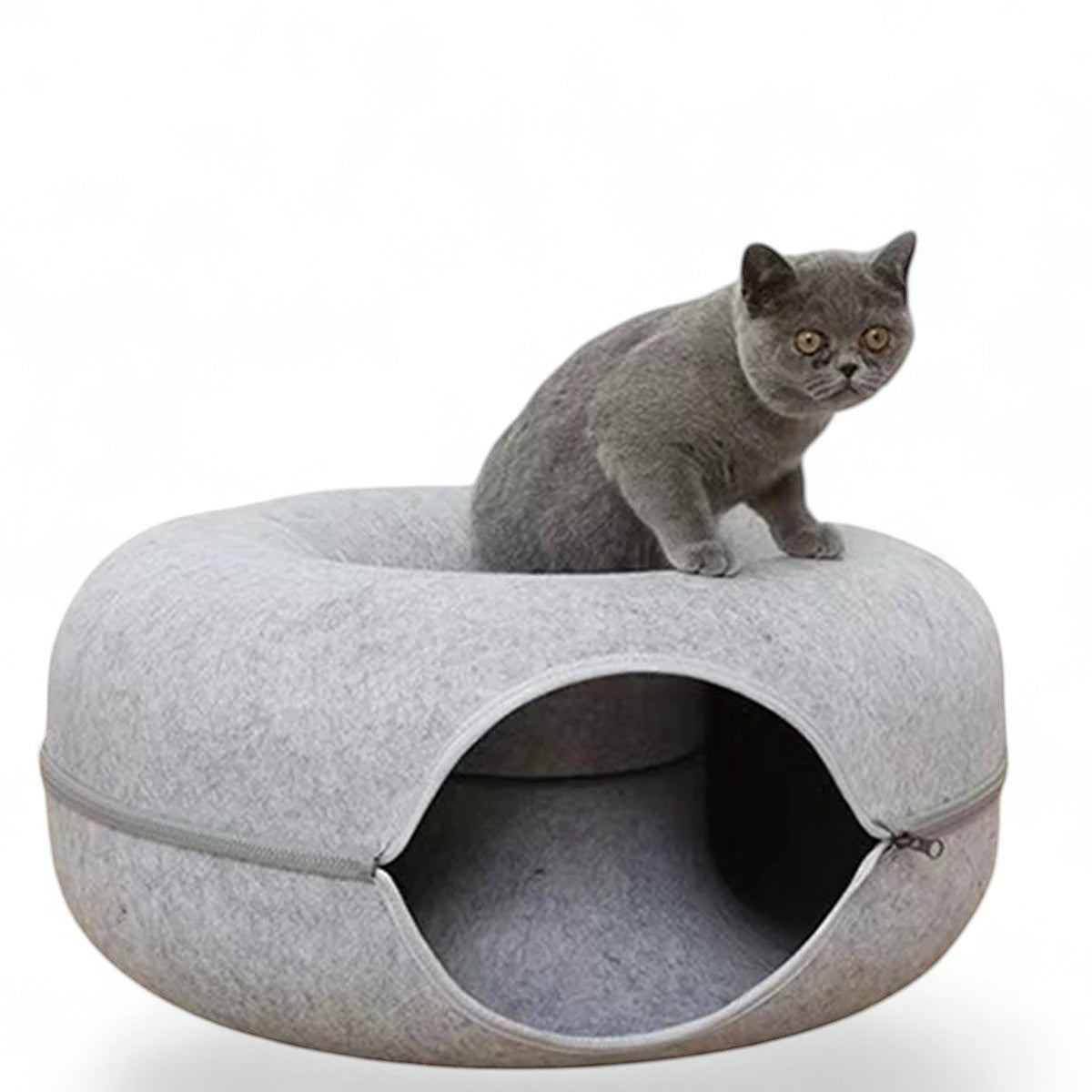 Chat gris assis sur un lit tunnel rond ANIMALZO en feutre gris pour le jeu et le repos
