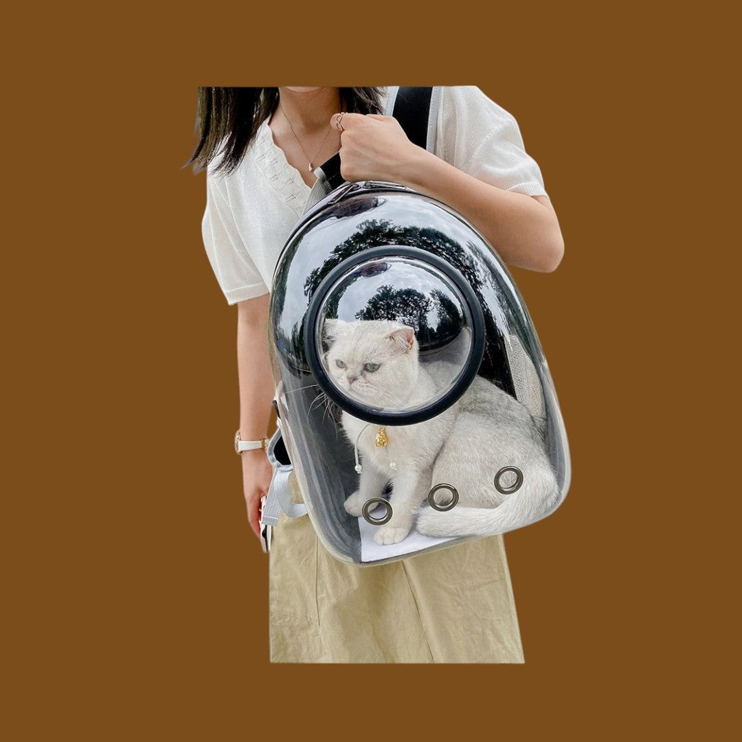 Mochila transportadora ANIMALZO tipo cápsula espacial con ventana panorámica y gato blanco en el interior