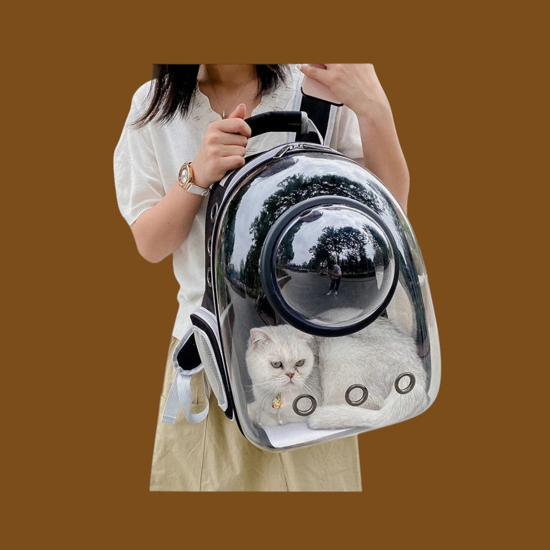 Mochila transportadora ANIMALZO tipo cápsula espacial con ventana panorámica transparente y gato blanco en el interior