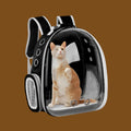 Mochila transportadora ANIMALZO tipo cápsula espacial negra con ventana panorámica transparente y gato en su interior