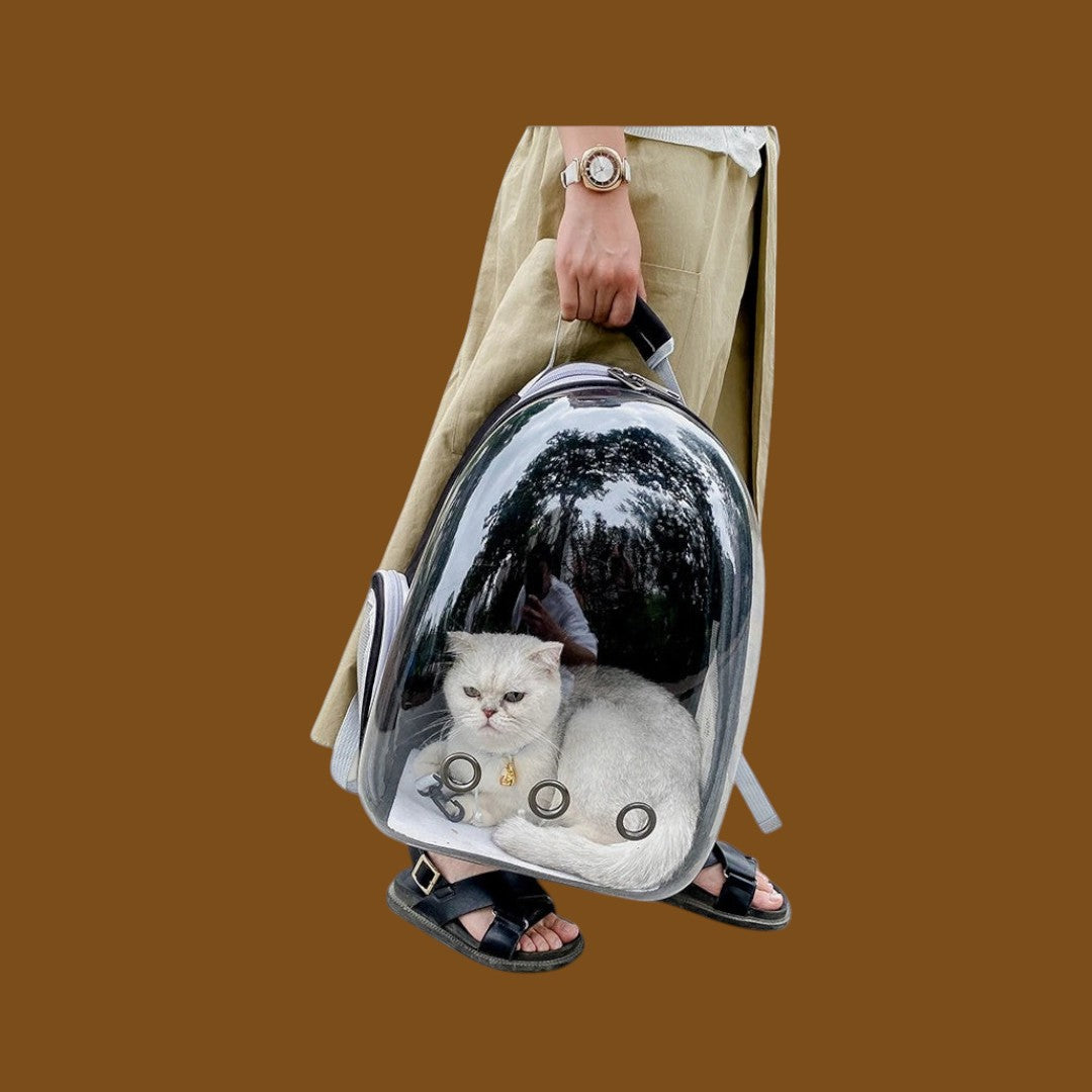 Mochila transportadora ANIMALZO en forme de capsule spatiale avec chat blanc à l'intérieur et fenêtre panoramique