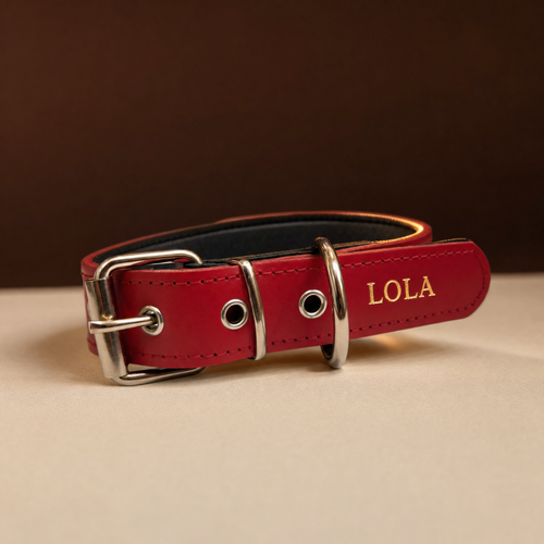 Collar Diario de cuero rojo con el nombre grabado en oro