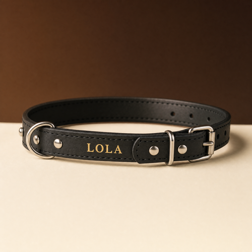 Collar Confort de cuero con el nombre grabado en oro