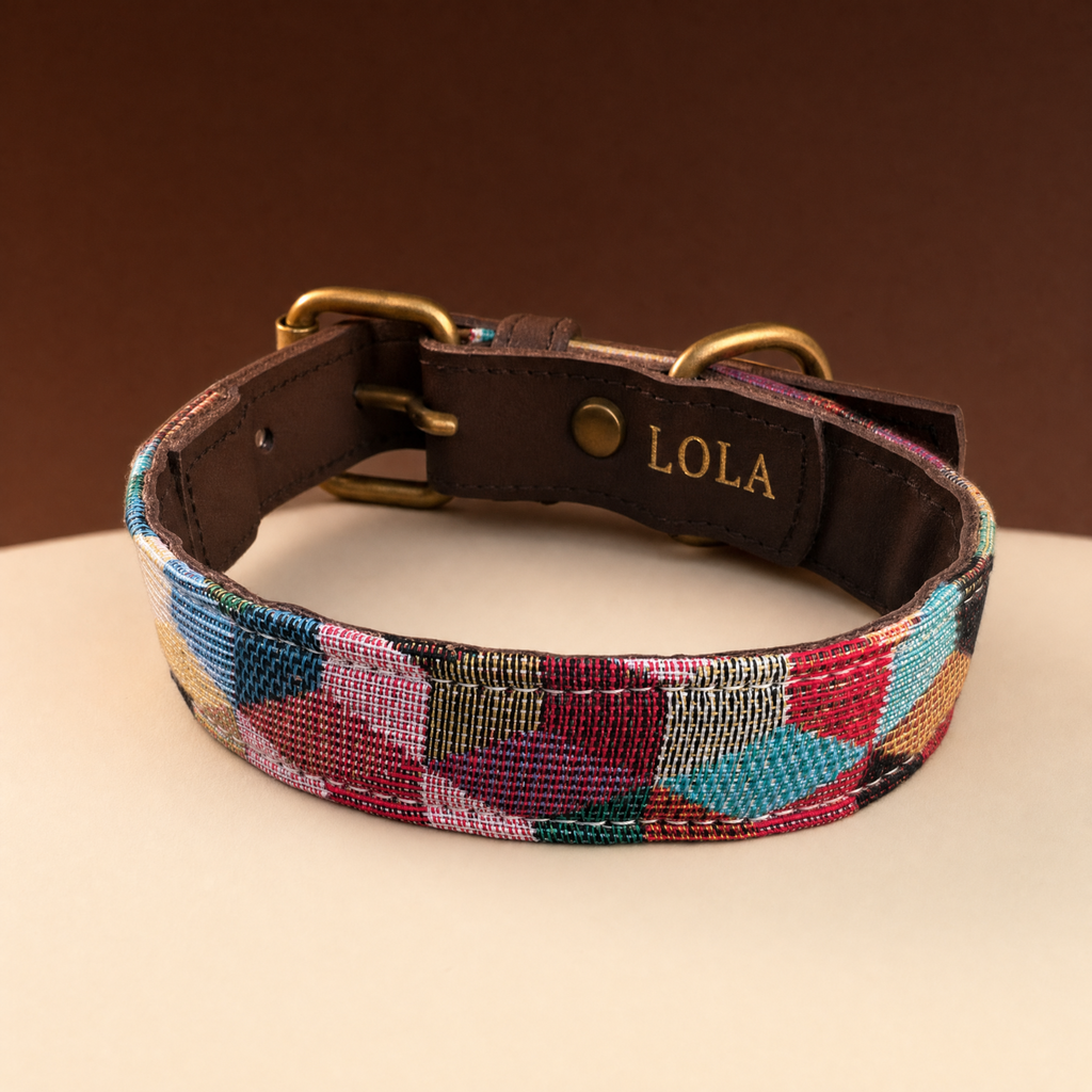 Collar Patio de cuero y tela con el nombre grabado en oro