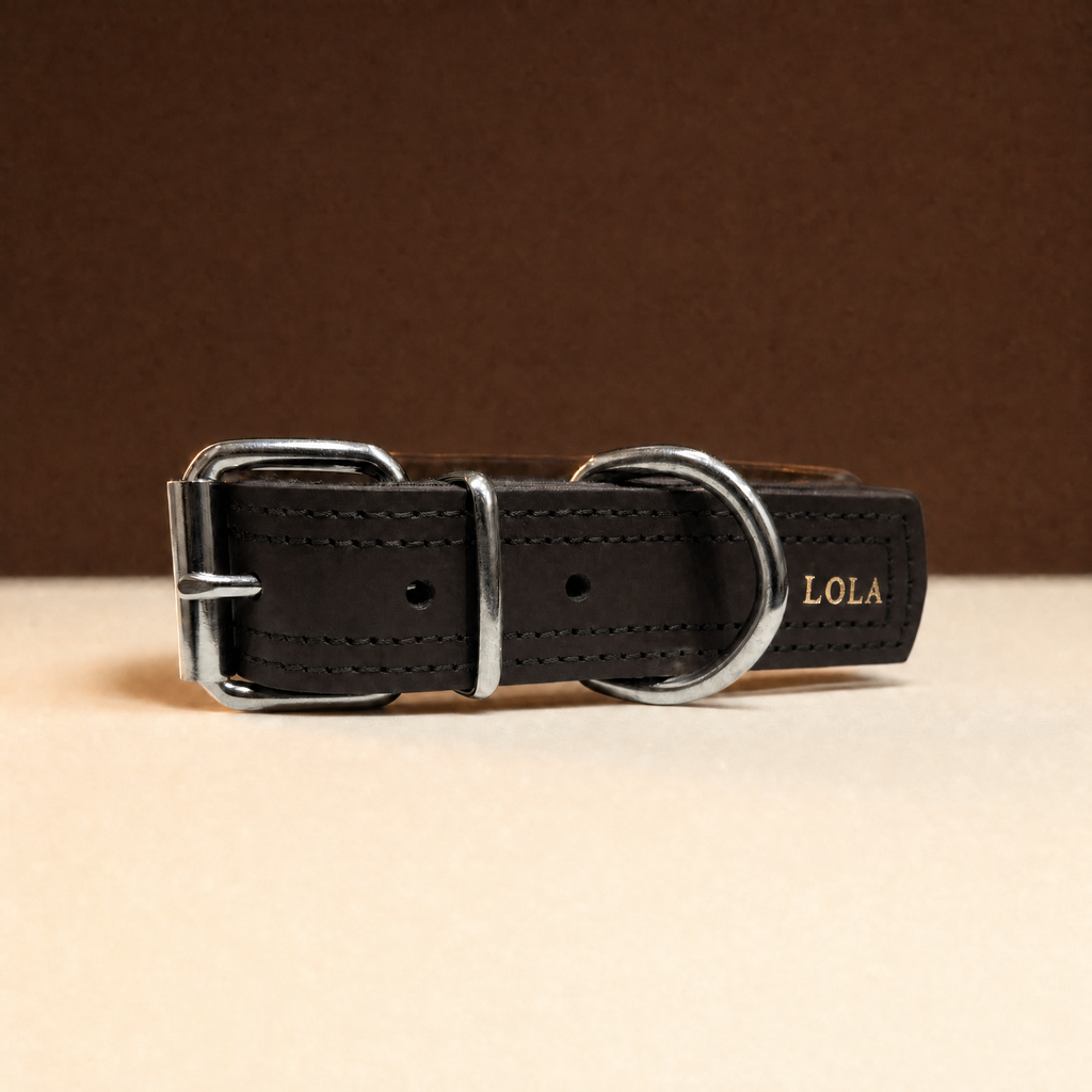 Collar Fuerte negro con doble costura y el nombre grabado en oro
