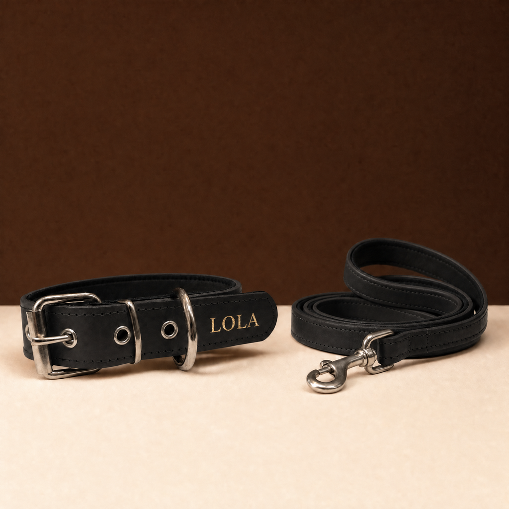 Pack Diario negro, collar y correa grabados en oro