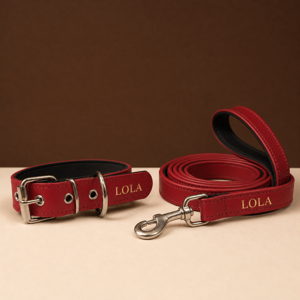 Pack Diario Animalzo, collar y correa de cuero rojo grabados en oro, foto de estudio