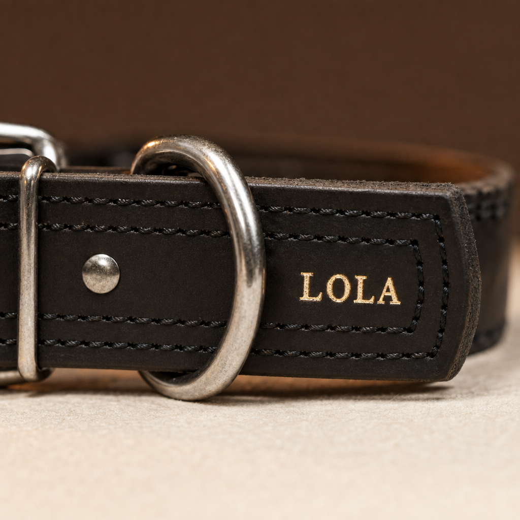Detalle de la doble costura del collar Fuerte negro con el nombre grabado en oro