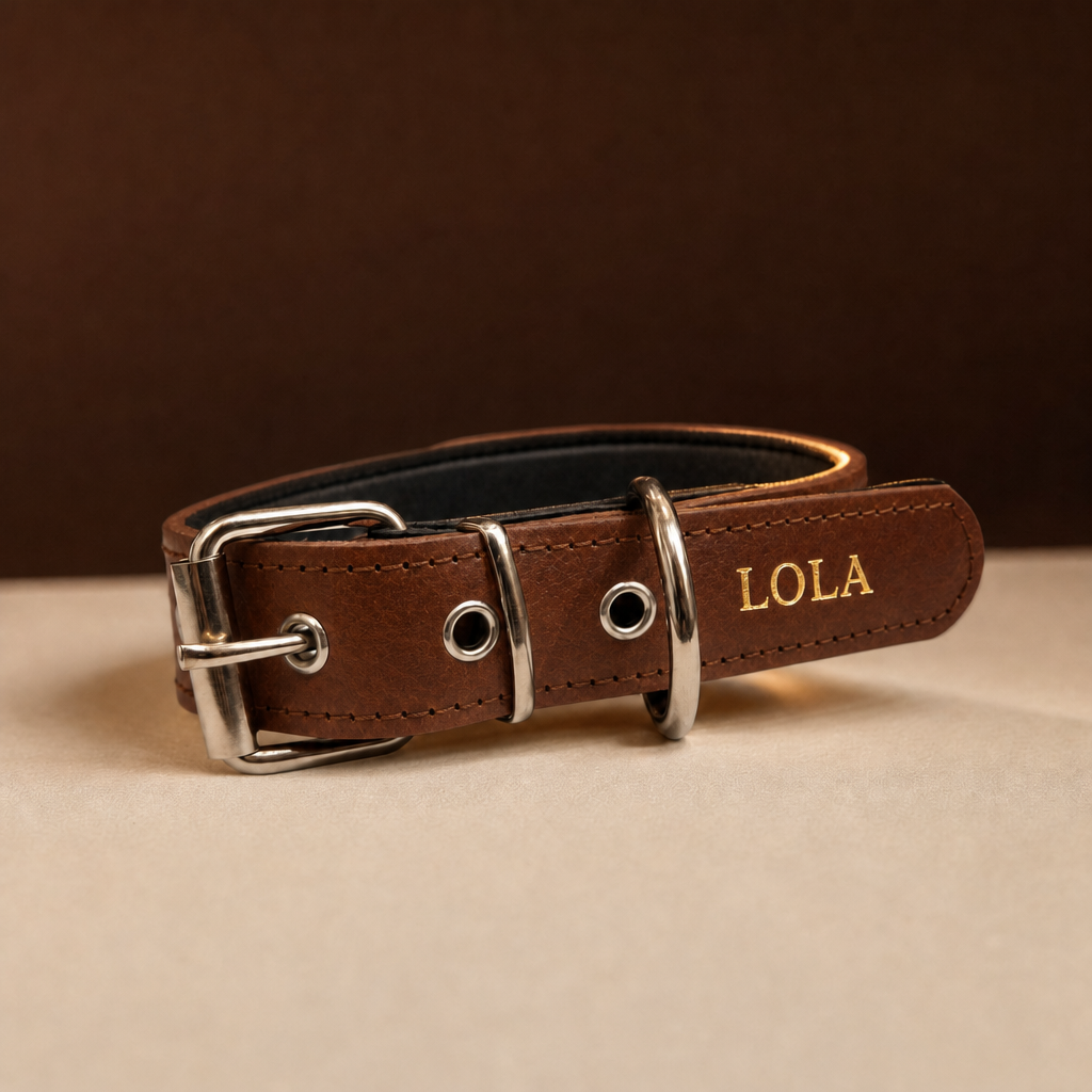 Collar Diario de cuero marron con el nombre LOLA grabado en oro