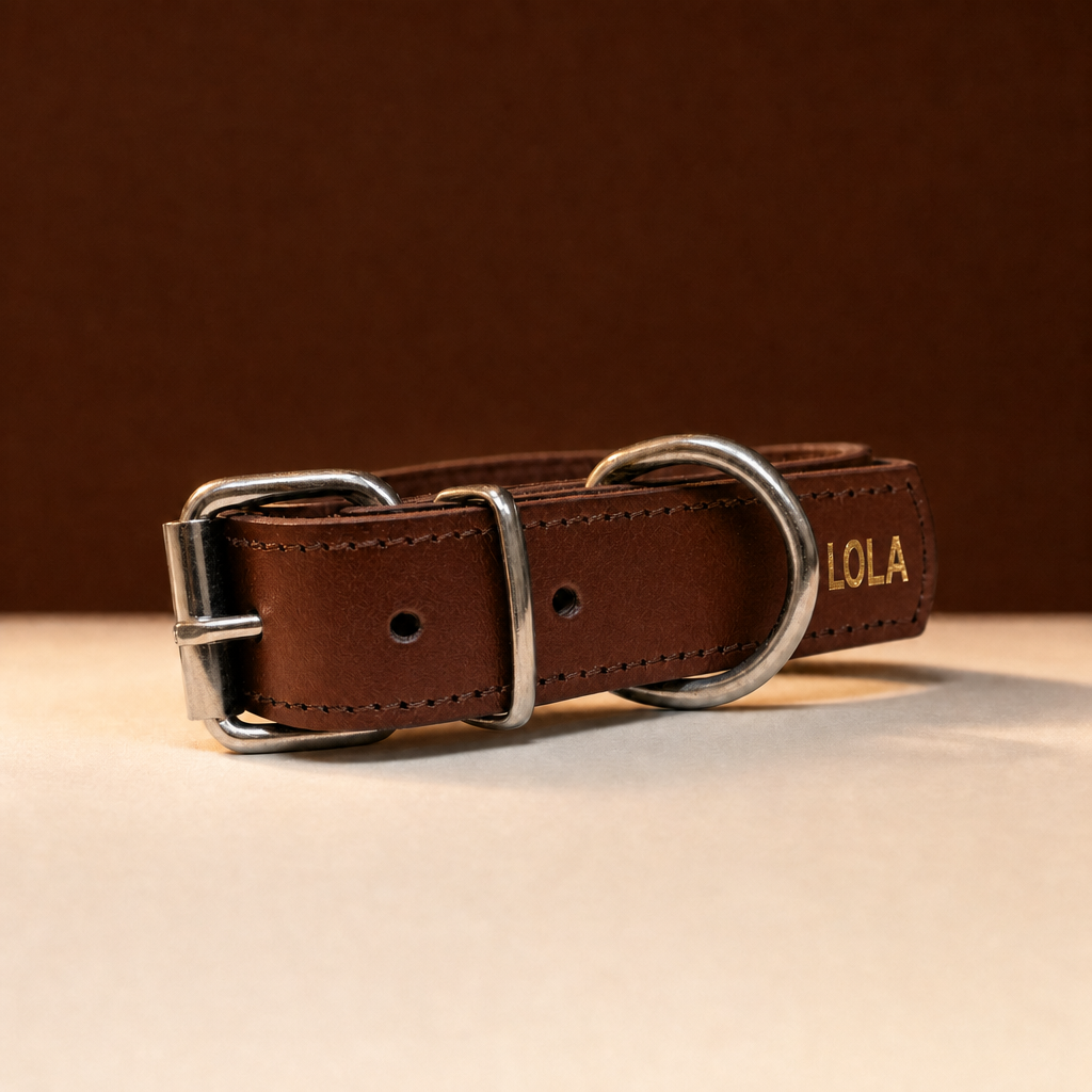 Collar Clasico de cuero marron con el nombre LOLA grabado en oro