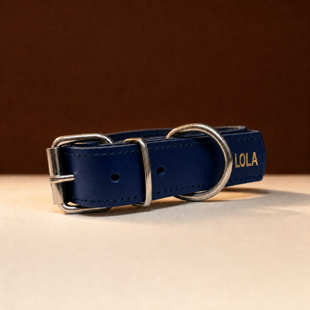 Collar Clasico de cuero azul con el nombre LOLA grabado en oro