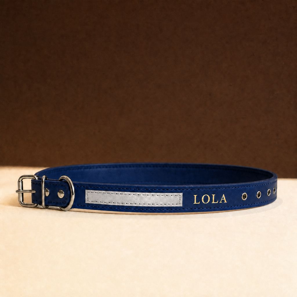 Collar Noche de cuero azul con banda reflectante y el nombre LOLA grabado en oro