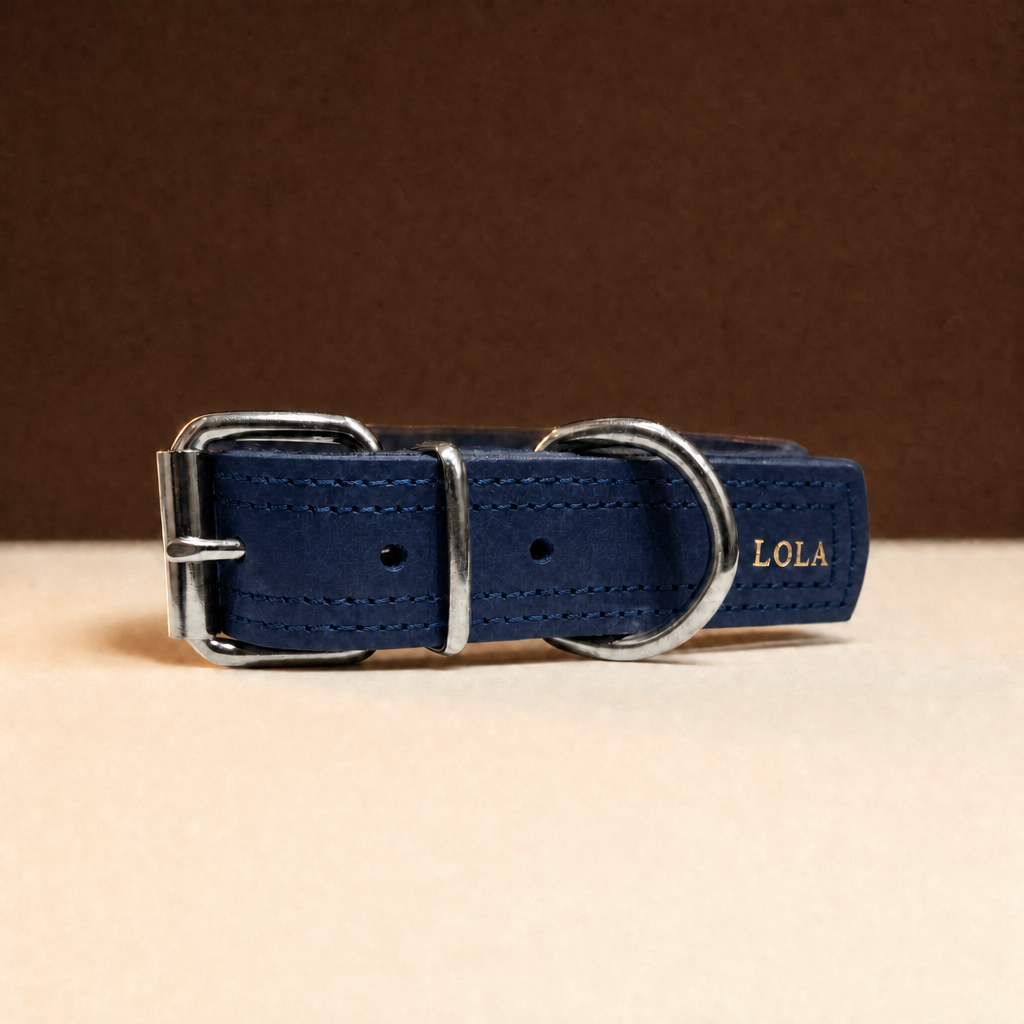 Collar Fuerte de cuero azul con doble costura y el nombre LOLA grabado en oro