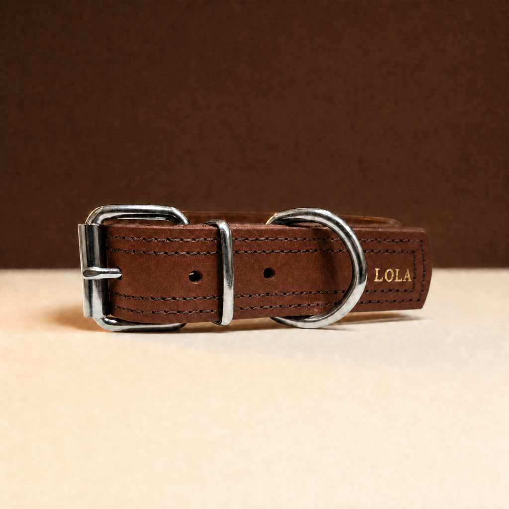 Collar Fuerte de cuero marron con doble costura y el nombre LOLA grabado en oro