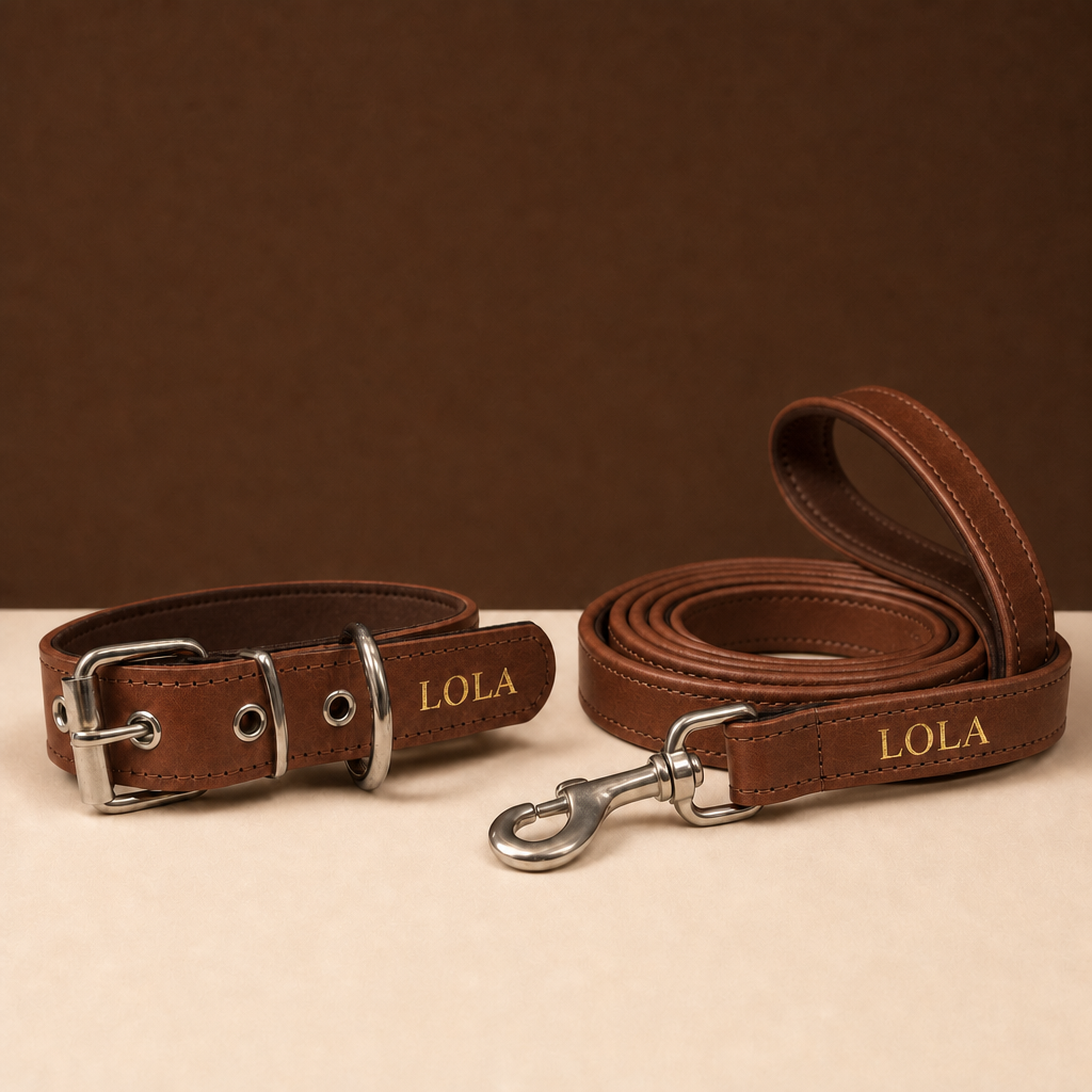 Pack Diario marron: collar y correa de cuero grabados en oro con el nombre