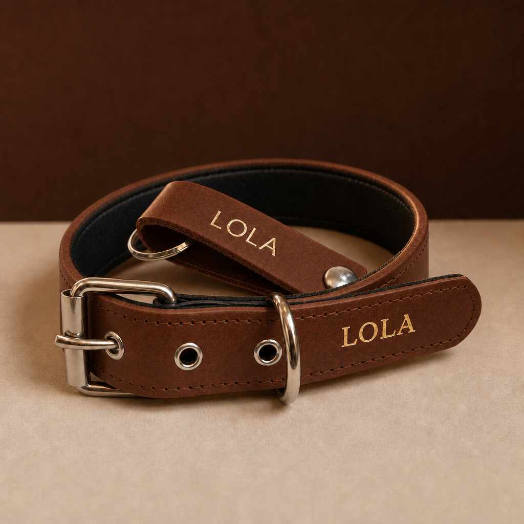 Pack Regalo marrón: collar Diario y llavero de cuero con el nombre LOLA grabado en oro