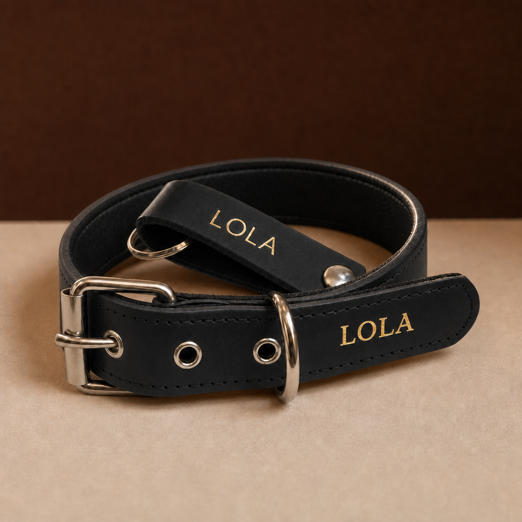 Pack Regalo negro: collar Diario y llavero de cuero con el nombre LOLA grabado en oro