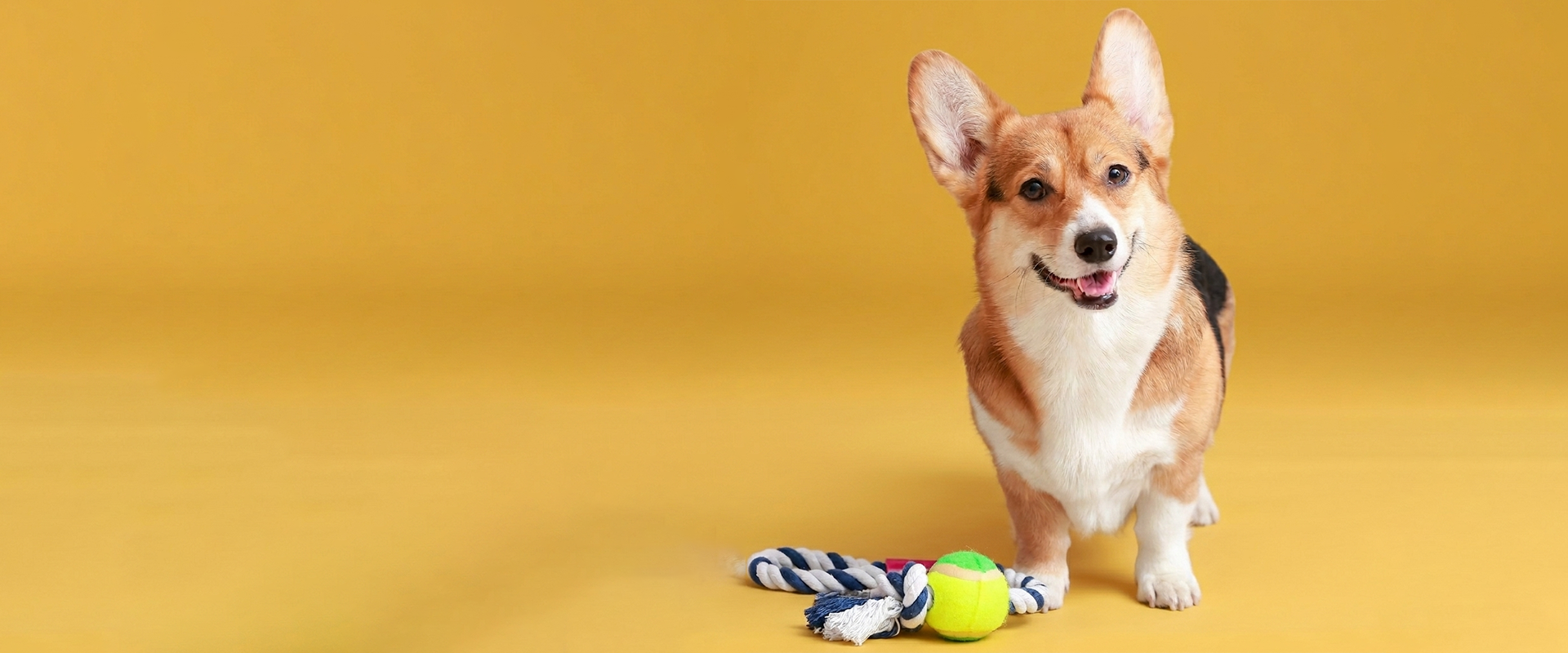 slider image slider_item_npJQnt